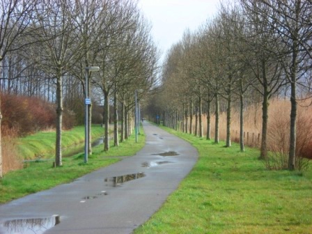And bike roads also go way, way out into the country in Groningen, Netherlands. Image Credit: Zachary Shahan / Bikocity