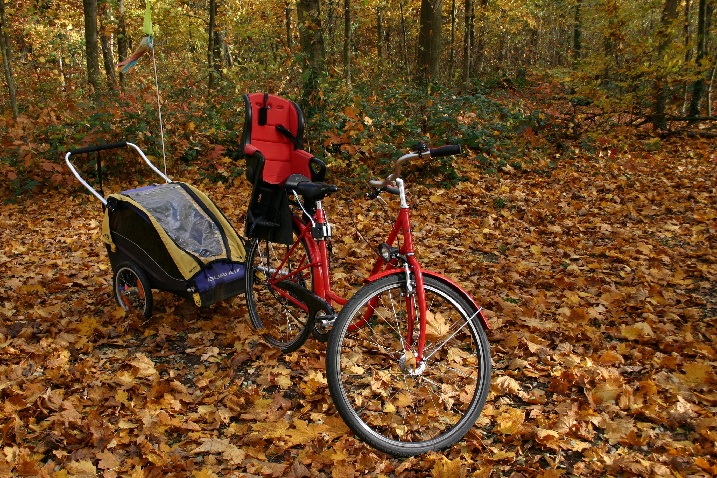 bicycle with trailer parked in leaves